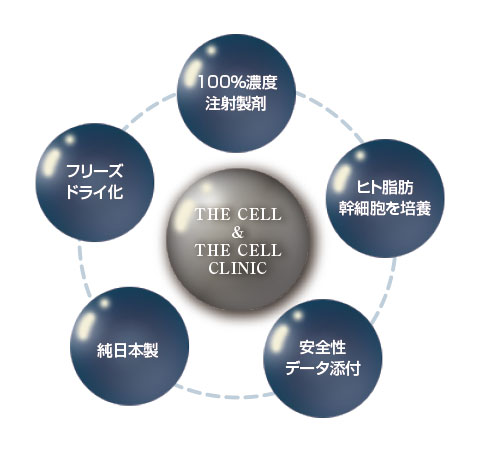 The Cell ・The Cell Clinicの特徴