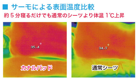 カナル凹凸　サームによる表面温度の比較 