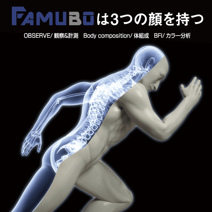 Famuboは3つの顔を持つ 皮下脂肪を画像計測
